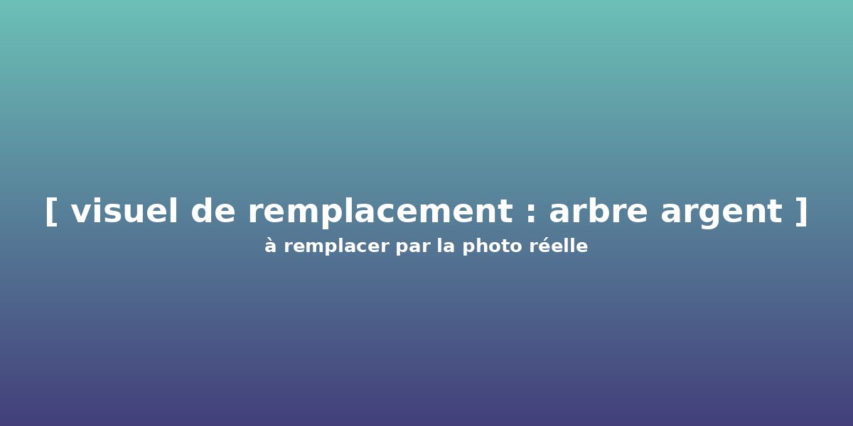 Croissance de votre investissement